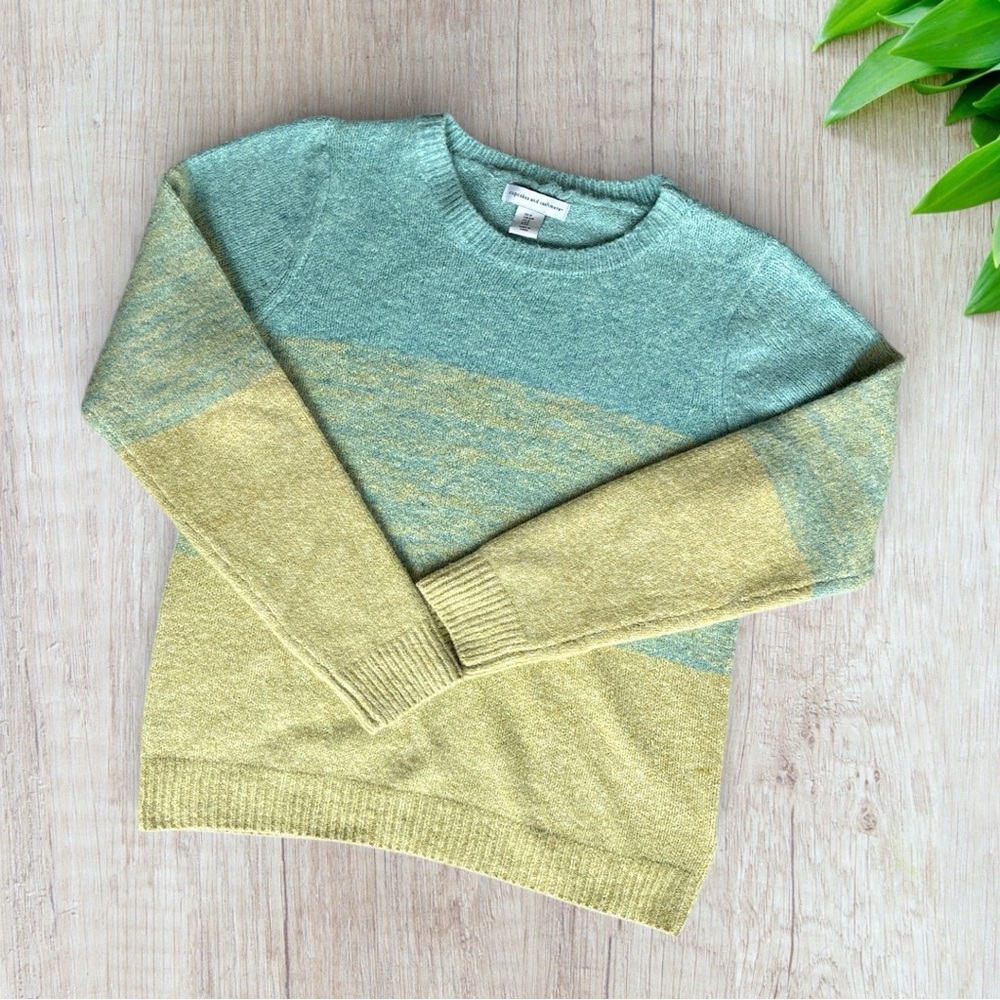 Cupcake & Cashmere Color Block Crewneck Sweater Size S